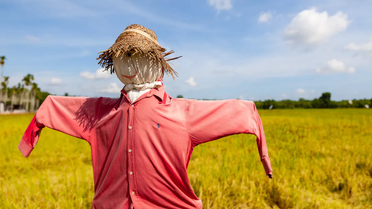 12 Humane Ways to Keep Birds Out of Your Vegetable Garden