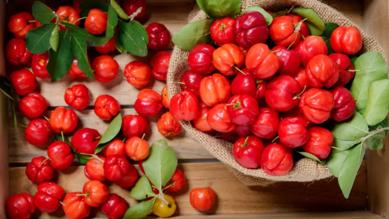 Barbados Cherry