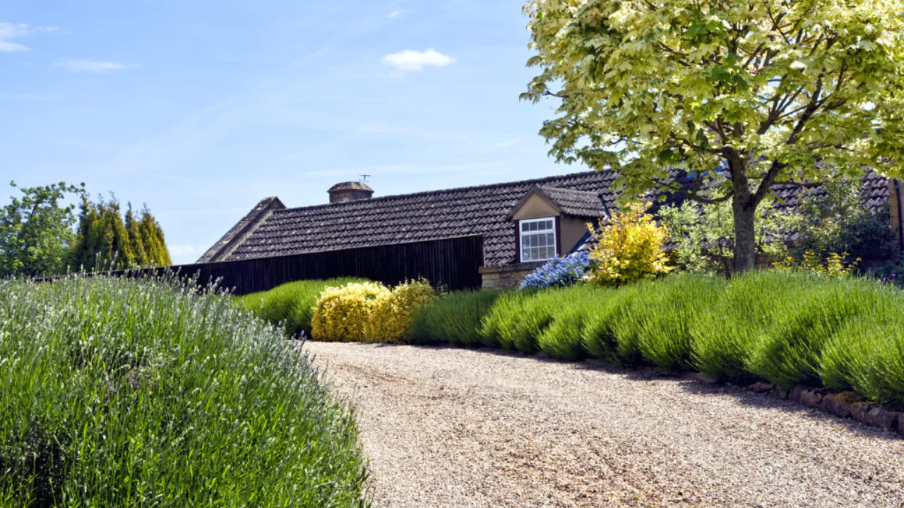 Best Types of Gravel for Driveways