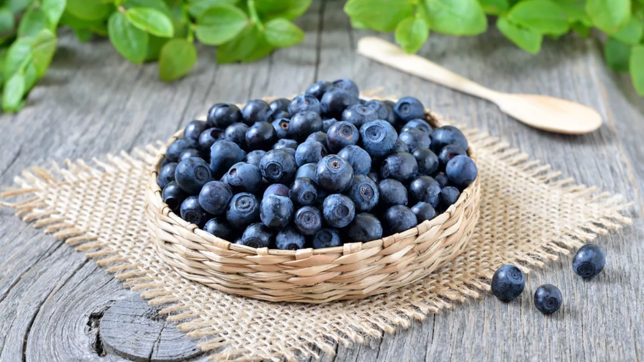 Bilberry