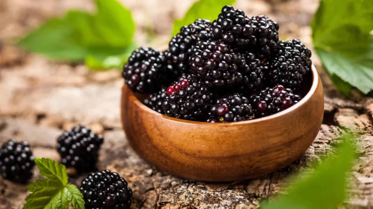 Blackberry
