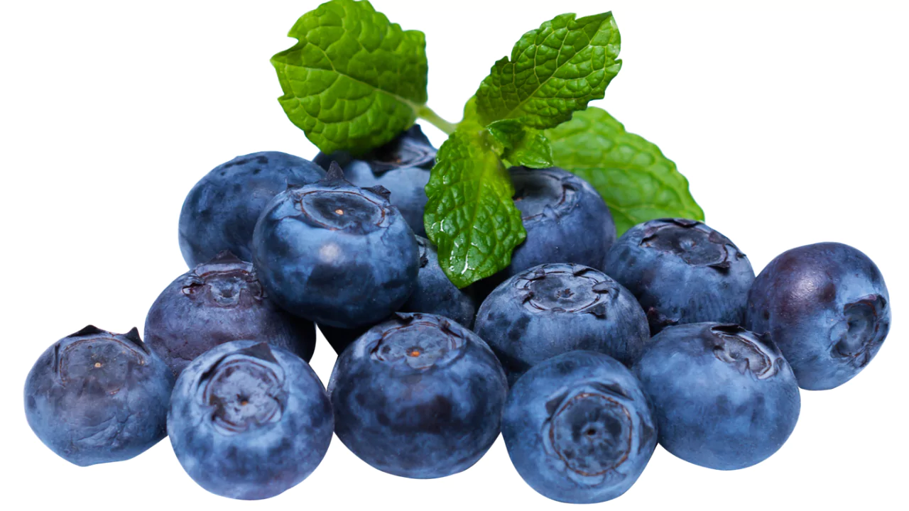 Blueberry