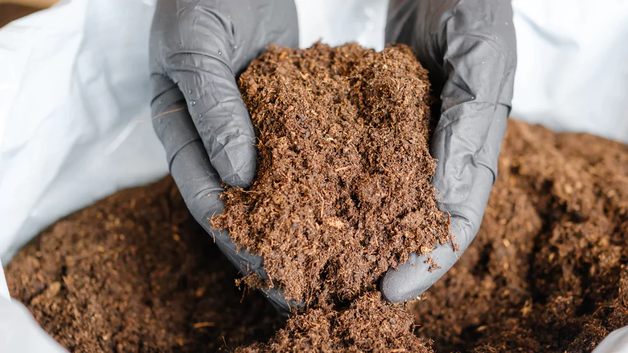 Can you compost coconut coir