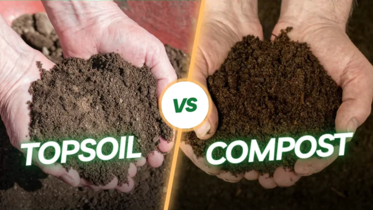 Compost vs Soil: What’s the Difference?