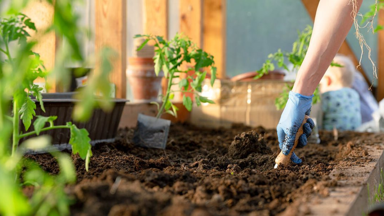 Garden Maintenance