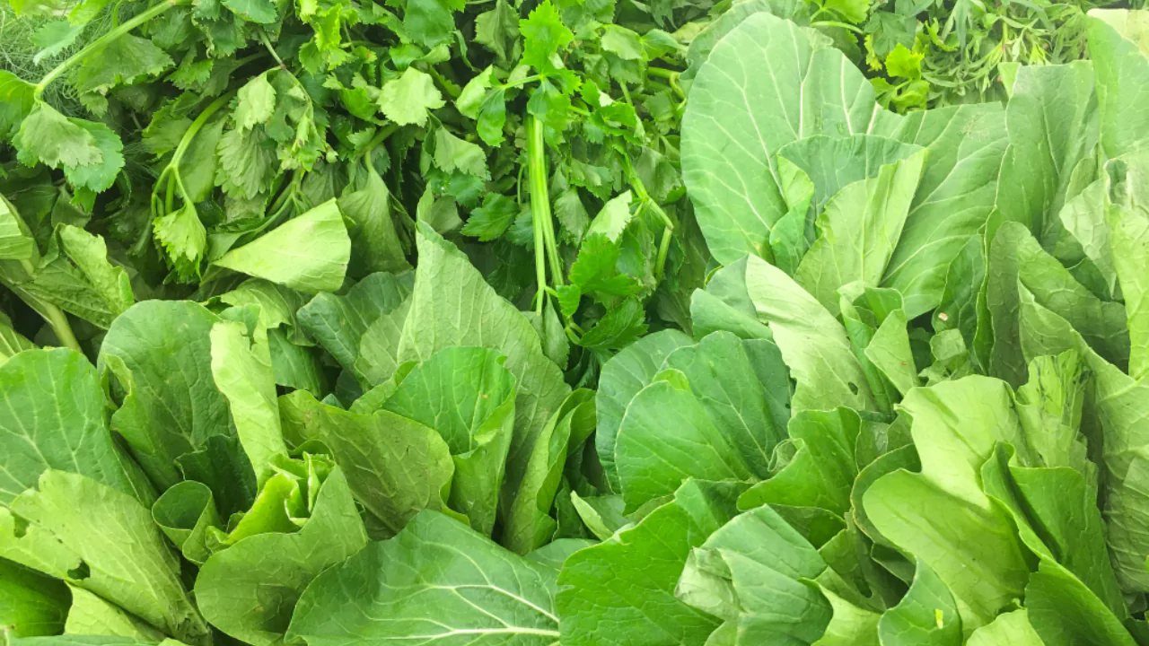 Green Leafy Vegetables