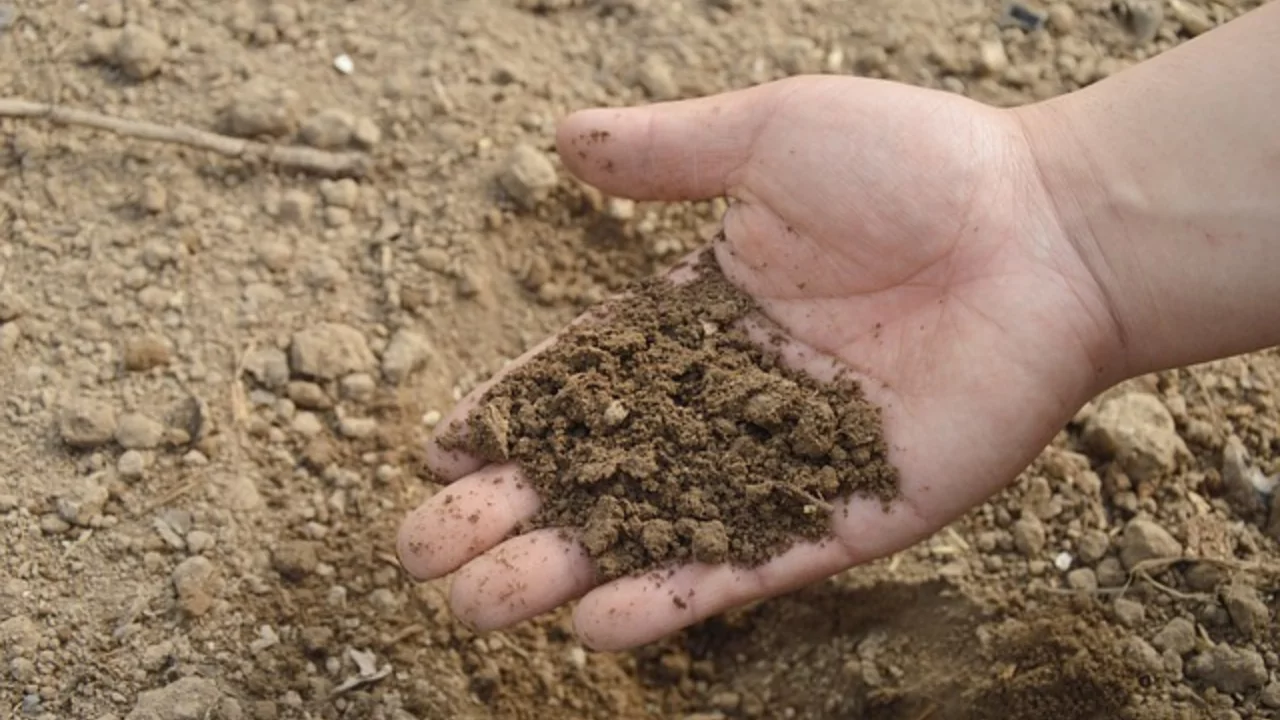 How to Add Nitrogen to the Soil