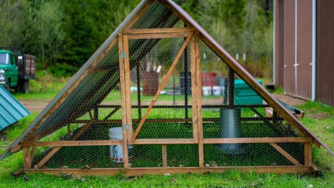How to Build Your Very Own Chicken Tractor