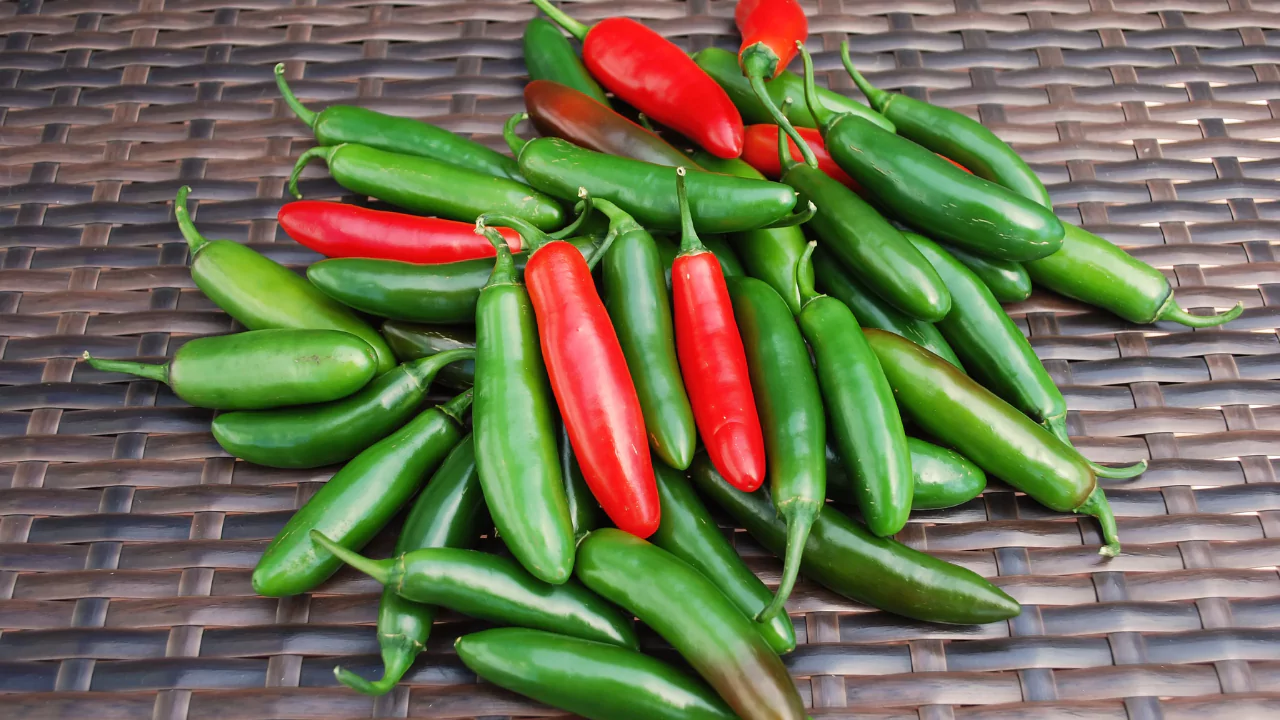 How to the Grow Serrano Pepper Plant (Capsicum annuum ‘Serrano’)