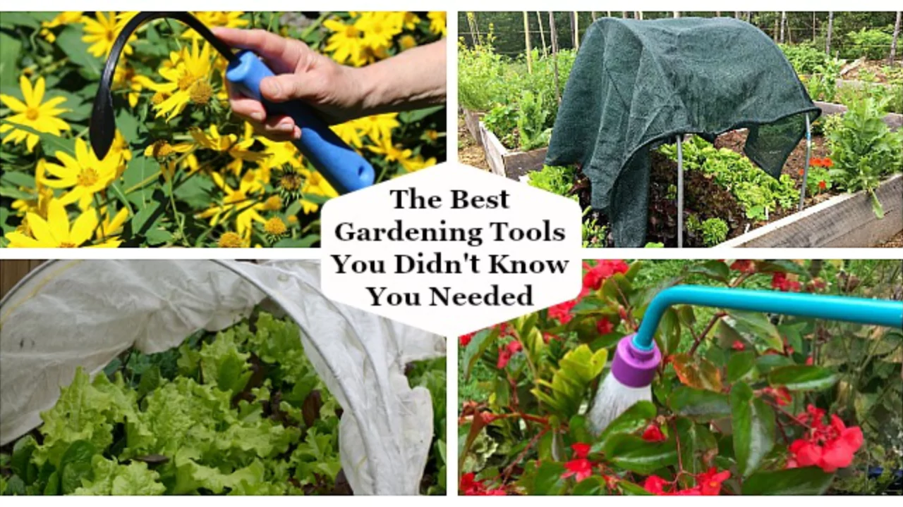 List of Gardening Services (A to Z)