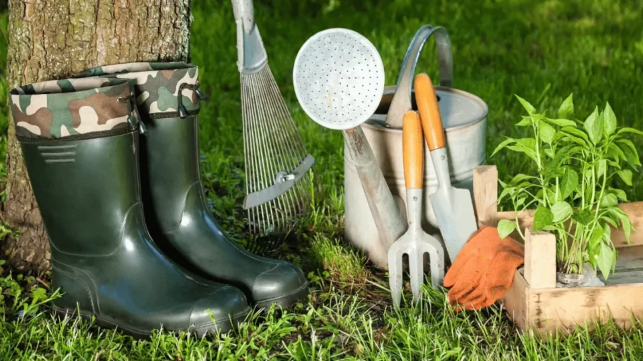 List of Gardening Tools (A to Z) – Every Tool Name Listed