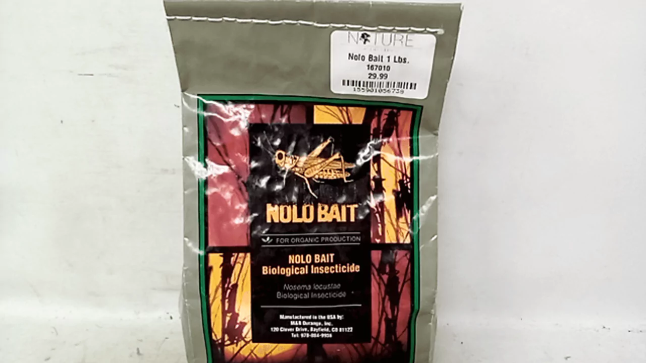 Nolo bait
