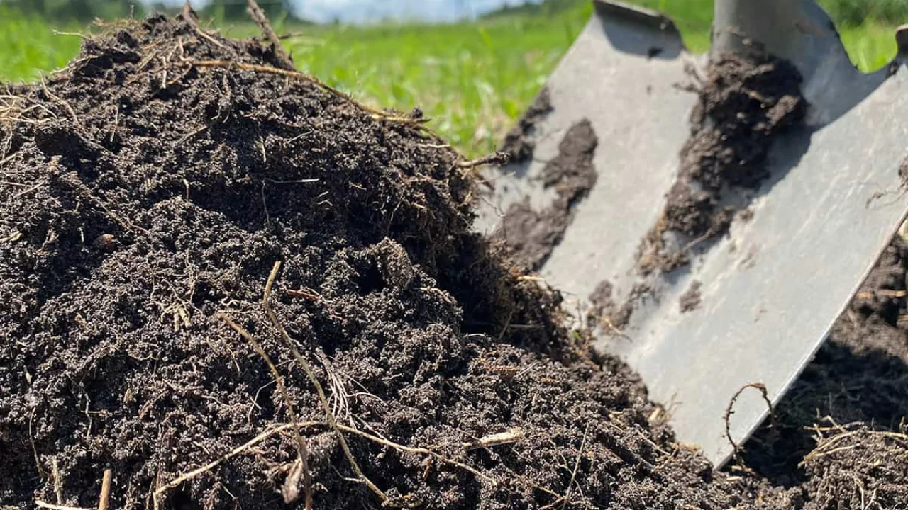 Our List of the Best 15 Common Organic Fertilizers
