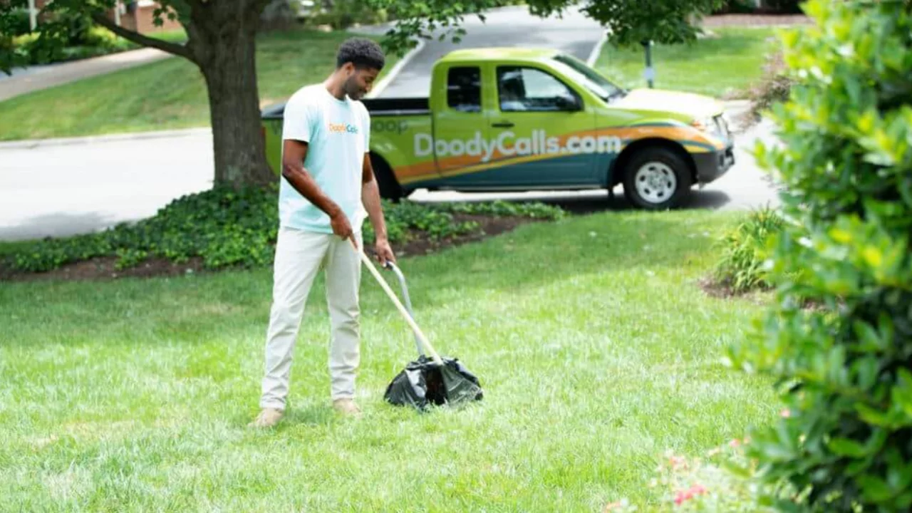 Tips for Cleaning Dog Poop Out of Your Yard