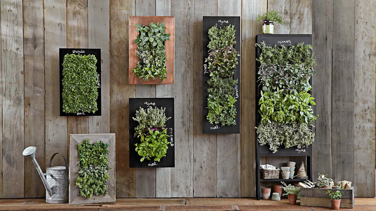What You Need to Know Before Selecting Wall Planters for Your Vertical Garden