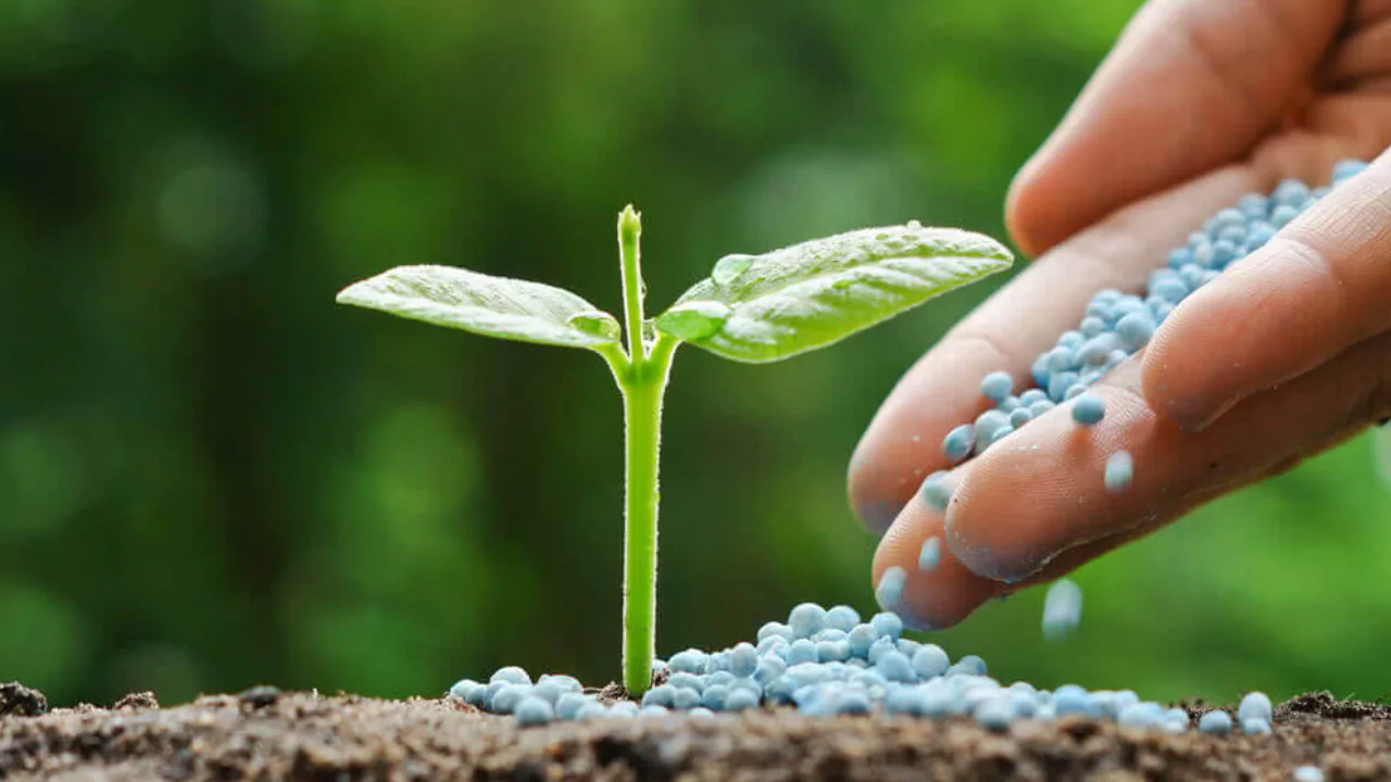 What is Fertilizer