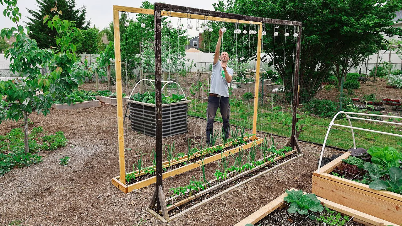 trellising