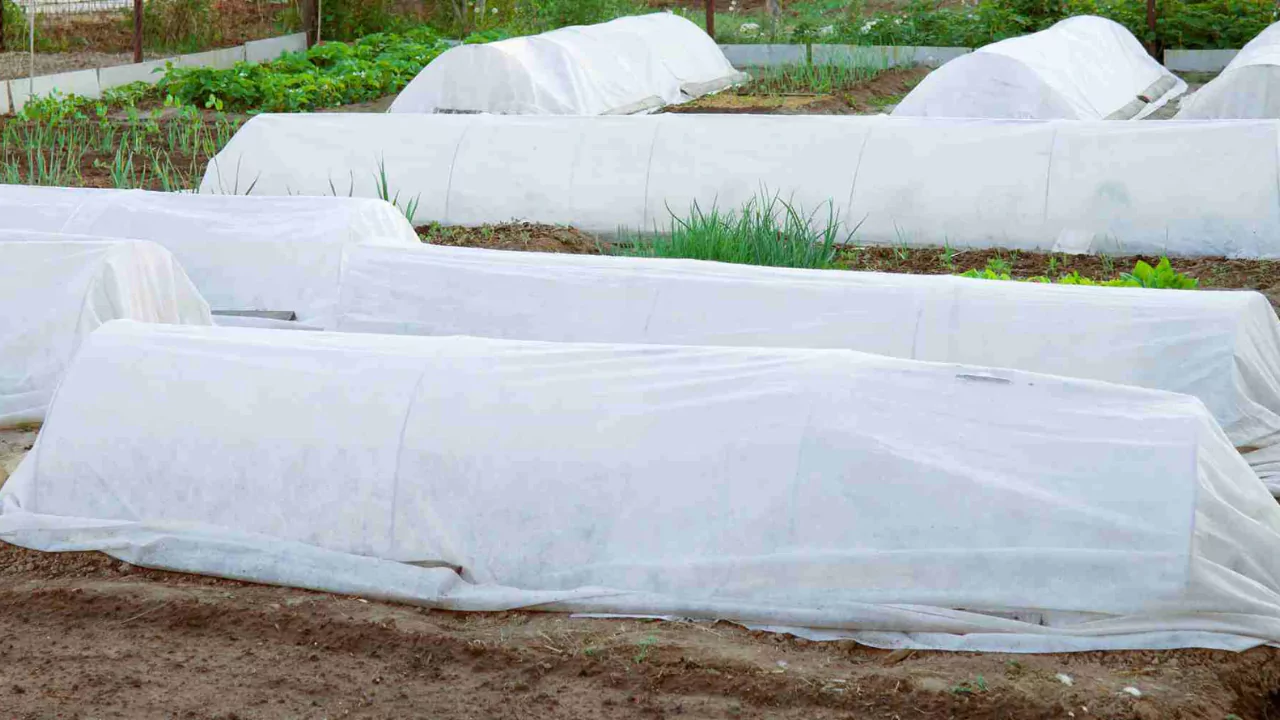 block spring and fall frosts using floating covers